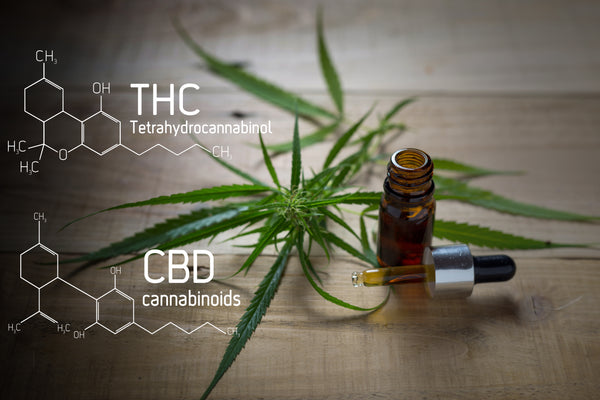 What are interesting Facts about CBD?
